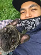 Cálido jersey con Schnauzer carta impresión suéter para perro traje suave para Chihuahua traje para Pug PC0944