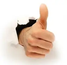 SS304 1.5 50.5MM Sanitary Stainless Steel Tri Clamp Clamps Clover for Ferrule