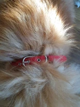 Suave de cuero de gamuza de arnés para perro Cachorro de diamantes de imitación chaleco para gatos mascota Mascotas Cachorro arneses para pequeño mediano perros Chihuahua rosa