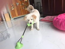 Juguetes para perros, ventosa de silicona, Bola de empuje para morder, limpieza de dientes, cepillo de dientes para comida de alimentación, juguetes para perros, venta al por mayor