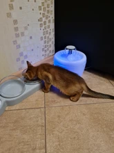 2.5L fuente del gato automático, cuenco para beber agua, dispensador de agua para perros y gatos, fuente de bebida automática silenciosa, USB eléctrico
