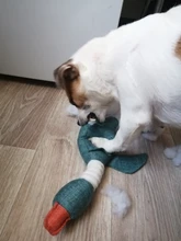 Dog-Toys Chew-Supplies Puppy Sound Dogs Wild Plush Cleaning Teeth Cartoon for Goose Resistance-To-Bite-Squeaky