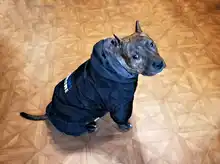 Dog-Coat Winter HOOPET for Dogs Clothing Warm Christmas Big