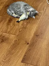 Cheap Pet Products Fish Toy Cat Scratch Board Scratching Post Catnip toys for Cat Pet