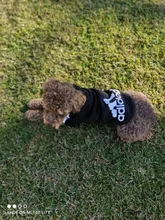 Adidog-ropa para perros medianos y pequeños, Sudadera con capucha de algodón, chaqueta cálida de dos patas, 2020