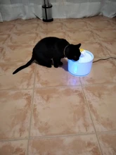 Dispenser-Container Fountain Cat-Bowl Water-Level-Display Electric-Water-Feeder Dogs