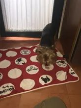 Manta superFranela suave para mascotas, cama gruesa para cojín de perro, toalla de ducha para cachorro, alfombra bonita para el hogar, cubierta cálida para dormir, suministros para mascotas