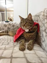 Pet Dog Cat Costume Christmas Antlers Hat Cloak Halloween Disguise Clothes For Cats Small