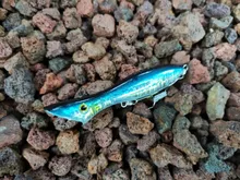 Popper Fishing Lures Wobblers Floating-Sinking Kingdom Hard-Stick Sea-Bass Baits-Light