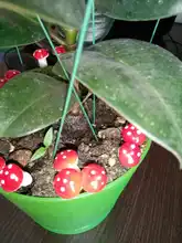 Nueva gran oferta 10 Uds 2cm Mini setas en miniatura hadas jardín terrario con musgo decoraciones artesanales de resina juego de