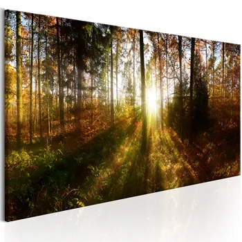 

Table-Beautiful Forest-150x50
