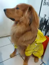 Jumpsuit Jacket Pet-Cloak Rain-Coat Labrador HOOPET Golden Retriever Waterproof Dogs