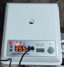 Incubadora de huevos de 220V, incubadora de codornices para aves de corral, herramientas de incubación automática