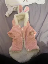 Cute Rabbit Design Dog Hoodie Winter Pet Dog Clothes For Dogs Coat Jacket Cotton Ropa