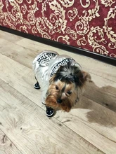 Jumpsuit Pet-Costumes Cotton-Padded Silver-Color Dogs Waterproof Winter Fashion for Hoodie