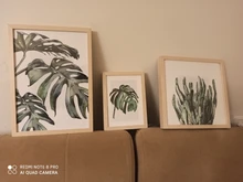 Paintings Decorative-Picture Tropical-Plants-Poster Wall-Art Scandinavian-Style Living-Room