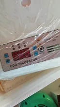 Incubadora de huevos de 220V, incubadora de codornices para aves de corral, herramientas de incubación automática