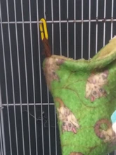 Traumdeutung 100Pcs Parrots Toys For Bird Sugar Glider Accessories Supplies Cockatiel