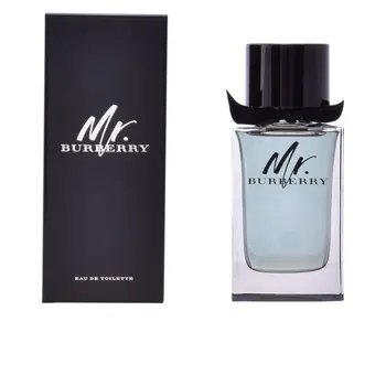 

MR BURBERRY edt vaporizer 150 ml