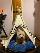 Tipi de Gato con cojín y pizarra para perros, carpa portátil para perros y casas de mascotas, tienda plegable de lona de madera para mascotas, cama para animales pequeños