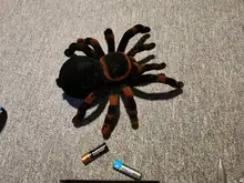 Control remoto para mascotas, simulación electrónica de tarantula, ojos brillantes, araña negra inteligente, 4 canales, broma, terrorífico, juguete para regalo