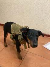 Dog-Harness Loop Dog-Molle-Vest Working Tactical with 2-Metal Buckle Hook Clip Handle