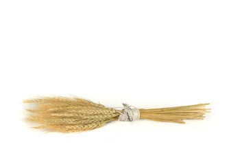 

Decorative dried herringbone bouquet