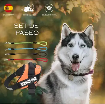 

Arnes pet Set + round strap pet product ride Set medium and large small dogs