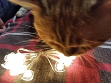 Led-String-Lamp Party-Supplies Christmas-Decoration Led-Fairy-Lights Battery-Operated