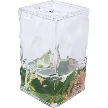 

Glass for toothbrushes Monstera with separator