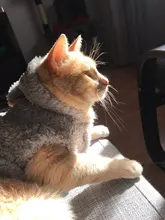 Ropa de Gato caliente para mascotas, abrigo, chaqueta para perros pequeños, medianos, gatos, Chihuahua, ropa de Yorkshire, disfraz rosa, S-2XL