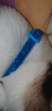 Collar de lentejuelas de colores para perros y gatos, hebilla ajustable, Collar de nailon para cachorros y gatitos, colgante con campana, accesorios para mascotas, 1 unidad