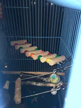 Bird-Toys Pets-Parrots-Ladders Colorful-Balls Hanging Natural-Wood 