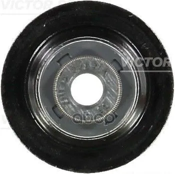 

Cap oil removable Victor Reinz art. 70-54093-00