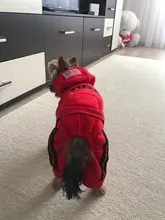 Jumpsuit Clothing Hoodies Jacket Pet-Dog-Coats Small Dogs Sport Apparel Winter Fashion