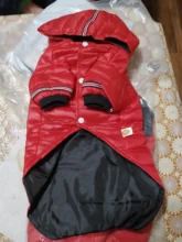 Small Dog Clothes Winter Warm Pet Dogs Coat Jacket Puppy Cat Outdoor Clothing Hoodies