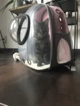 Bolsa de viaje de burbuja con ventana de astronauta, cápsula espacial transpirable, mochila transparente, mochila portamascotas, mochila para perro y gato
