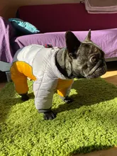Jacket Clothing Coat Puppy Reflective French Bulldog Warm Dogs-Chihuahua Waterproof Winter