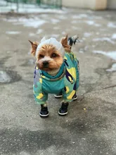Winter Pet Dog Coat Jacket Thicken Warm Clothes For Dogs Waterproof Reflective Puppy