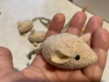 3pcs New Plush Simulation Mouse Cat Toy Plush Mouse Cat Scratch Bite Resistance Interactive