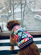 Jacket Costume Coat Bulldog-Clothes Small Dog Pug French Winter Pet-Dog Warm Cute 