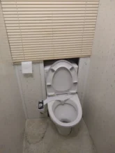 Water Bidet Toilet-Seat Non-Electric Warm Shattaf Dual-Nozzle Self-Cleaning Feminine