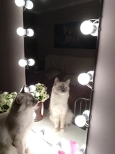 Light-Bulb Mirror Vanity-Lights Wall-Lamp Dressing Makeup Dimmable Hollywood USB 5V 2/6/10/14pcs