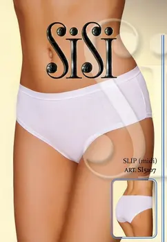 

Sisi si5107 briefs
