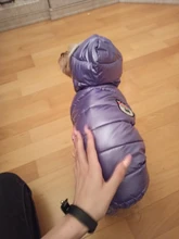 Ropa de invierno para perros pequeños, abrigo cálido para cachorros, chaqueta impermeable con capucha, monos para Chihuahua y Yorkie