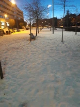 Pendientes de árbol de la vida para mujer, aretes de Color plata, pendientes de Francia para mujer, aretes con gancho para la oreja, joyería cabujón de cristal