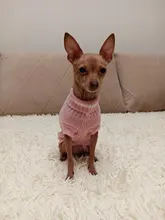 Sweater Bulldog-Outfit Chihuahua-Coat Knitted French Winter Dogs Warm for Small Pug-Clothing
