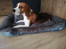 Dogs-Bed Sofa-House Big-Basket Small Large Waterproof Cat Bed Soft-Fleece for Medium