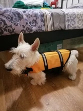 Chaleco Salvavidas para perro, chaqueta Salvavidas para mascota, ropa de seguridad, traje de baño para mascotas, Chaleco de seguridad para verano