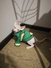 Cartoon Cat Hoodie Sweater Autumn Winter Pet Cat Clothes for Cats Katten Kedi Pullovers